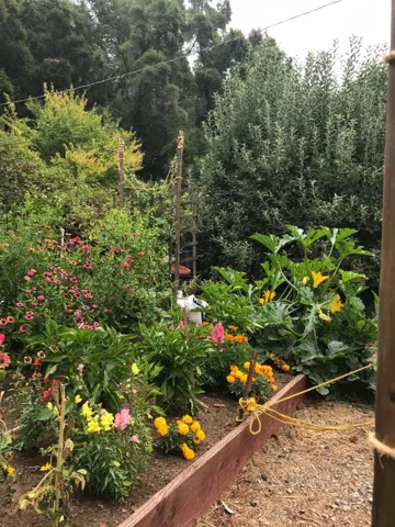14584 W Park Avenue, Boulder Creek, California 95006