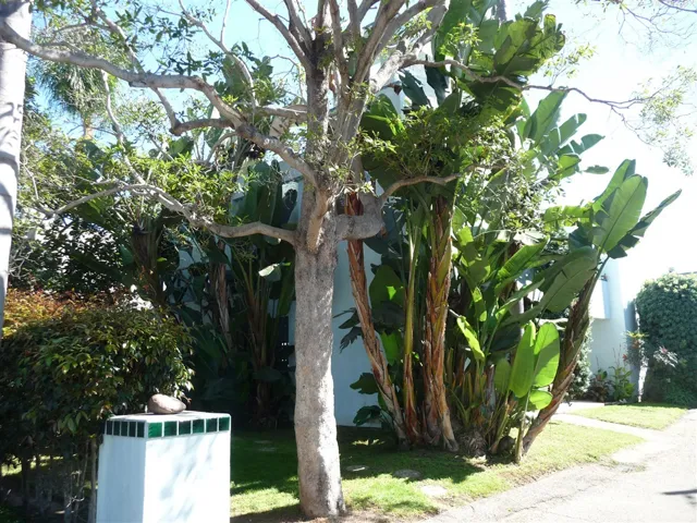 249 E Glaucus A, Encinitas, California 92024