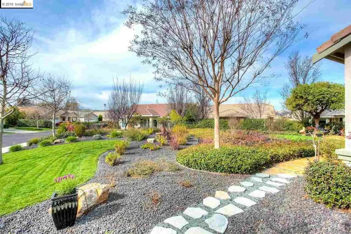 Side Yard