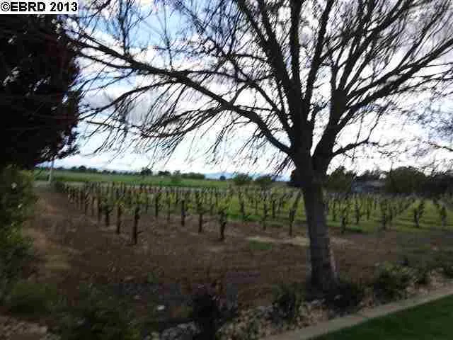 2650 Tule Ln, Knightsen, California 94548