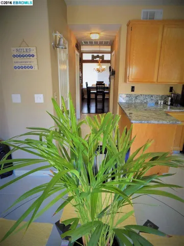 116 Danica Ct, Brentwood, California 94513