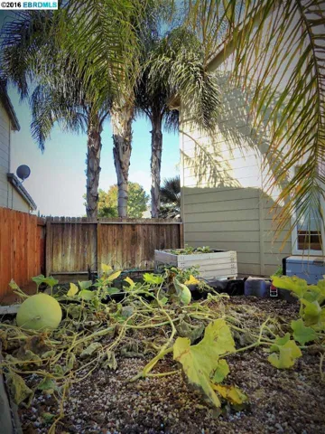 116 Danica Ct, Brentwood, California 94513