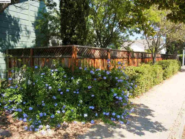146 Danica Ct, Brentwood, California 94513-1934