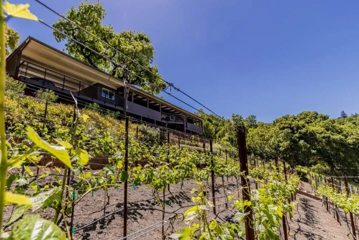 330 Dedalera Drive, Portola Valley, California 94028