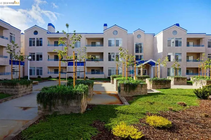 535 Pierce St 1204, Albany, California 94706