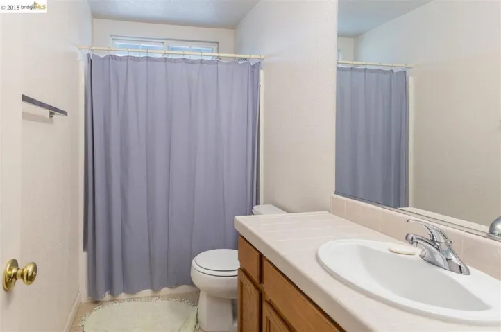 234 Weeping Willow Ct, Brentwood, California 94513
