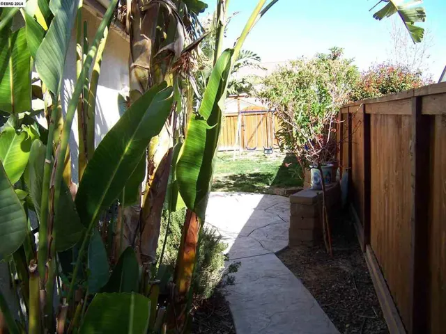 Side Yard