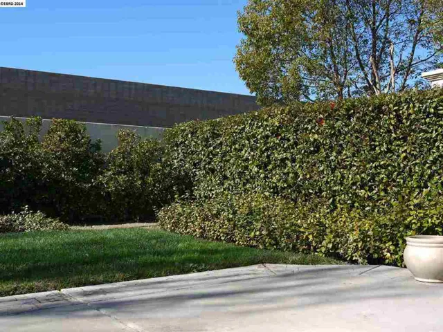 319 Upton Pyne Dr, Brentwood, California 94513-6458