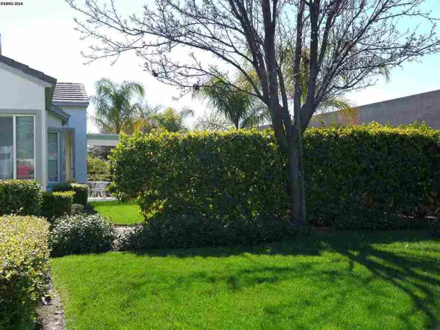 319 Upton Pyne Dr, Brentwood, California 94513-6458