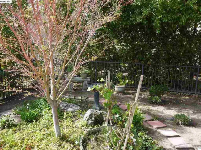 1804 Redwine Ter, Brentwood, California 94513-6001