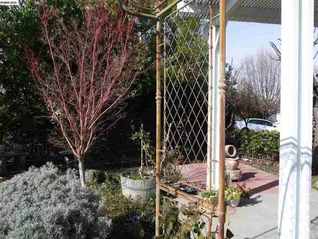 1804 Redwine Ter, Brentwood, California 94513-6001