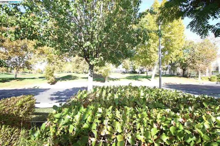 1800 Redwine Ter, Brentwood, California 94513-6000