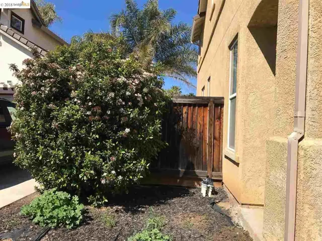 519 Chestnut St, Brentwood, California 94513