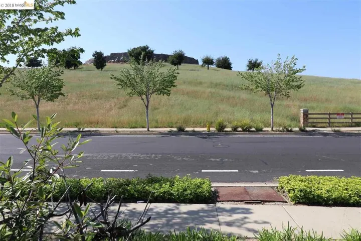 2451 Marshall Drive, Brentwood, California 94513