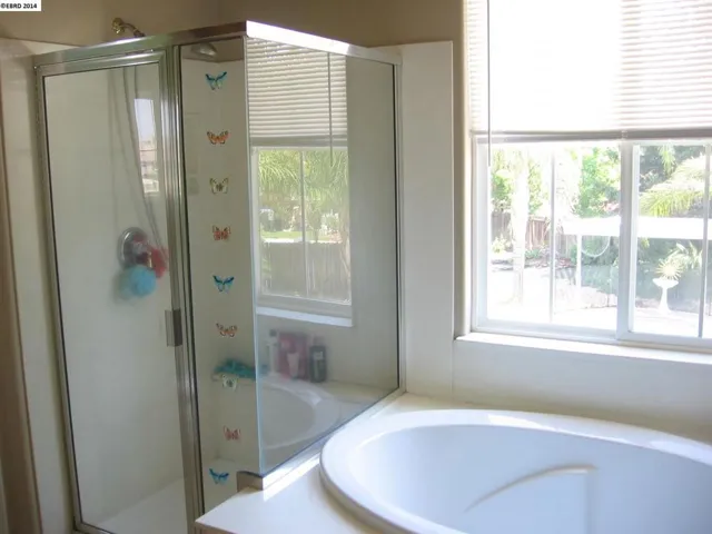1050 Cambrian Pl, Brentwood, California 94513-6804