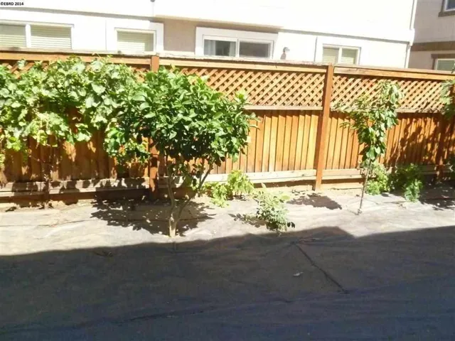 1926 Cedar Falls Avenue, Brentwood, California 94513