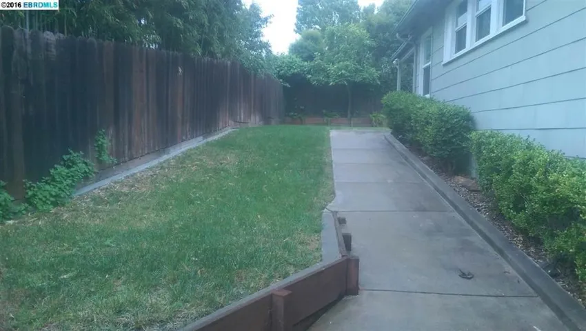 Side Yard