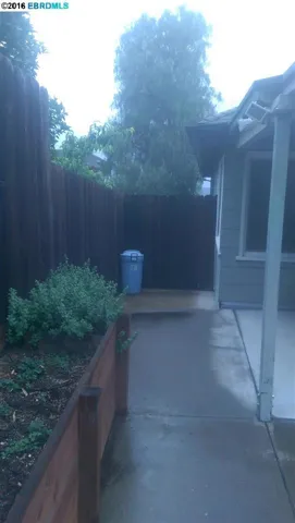 Side Yard
