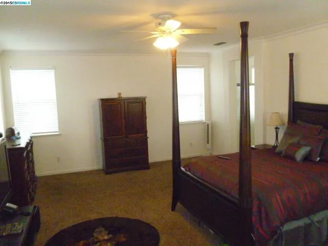 842 Shasta Daisy Dr, Brentwood, California 94513