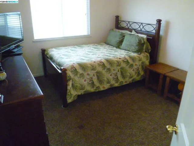842 Shasta Daisy Dr, Brentwood, California 94513