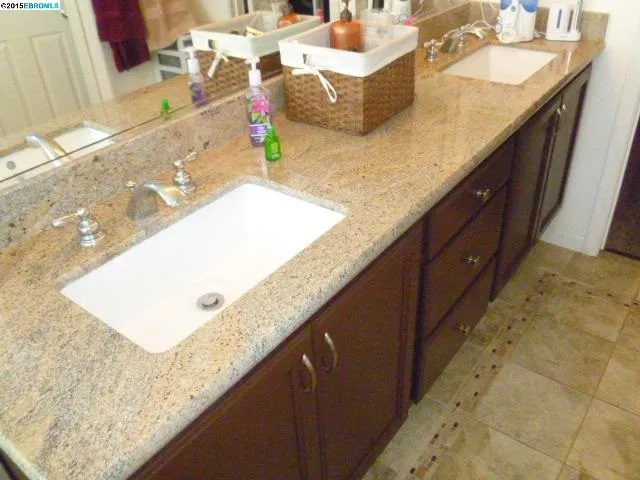 842 Shasta Daisy Dr, Brentwood, California 94513