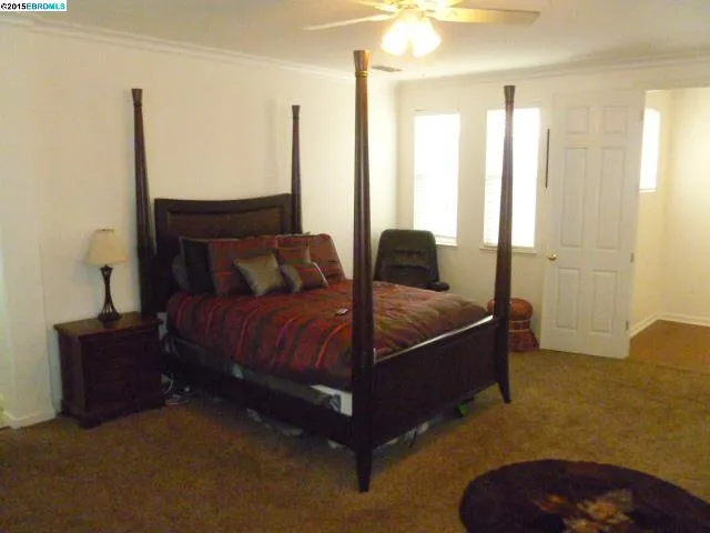 842 Shasta Daisy Dr, Brentwood, California 94513