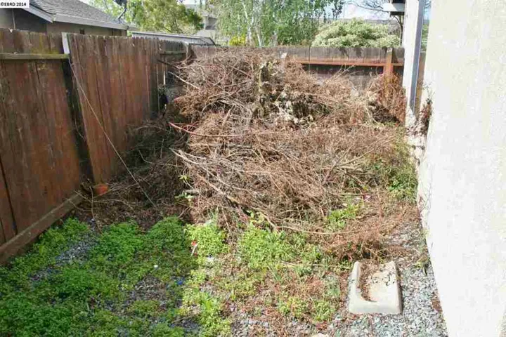 Right Side Yard