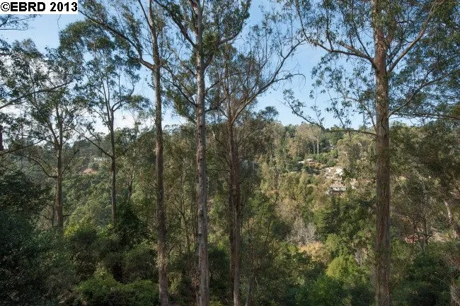 6207 Westover Dr, Oakland, California 94611-2406