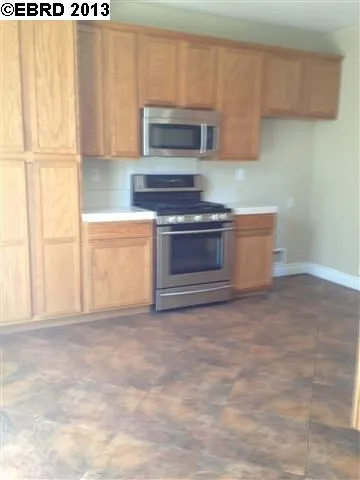 247 White Birch Ct, Brentwood, California 94513-5121