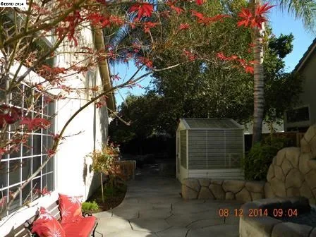 1175 Brookdale Dr, Brentwood, California 94513-2931
