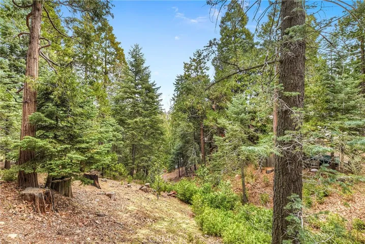 443 Iris Drive, Twin Peaks, California 92391