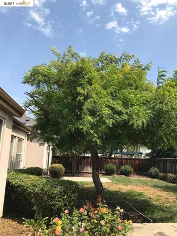 1112 Tachella Way, Brentwood, California 94513