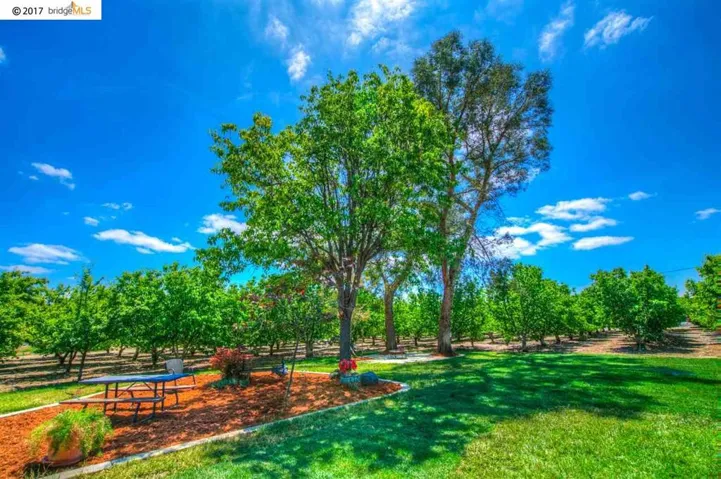 1200 Chestnut St, Brentwood, California 94513