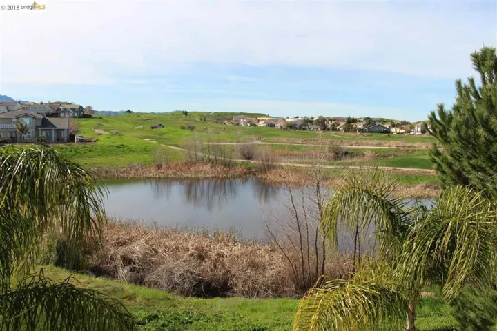 385 Roundhill Dr, Brentwood, California 94513