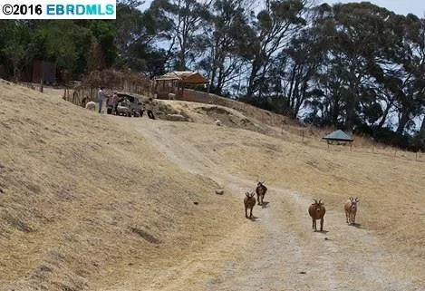 2700 San Pablo Dam Road, San Pablo, California 94806