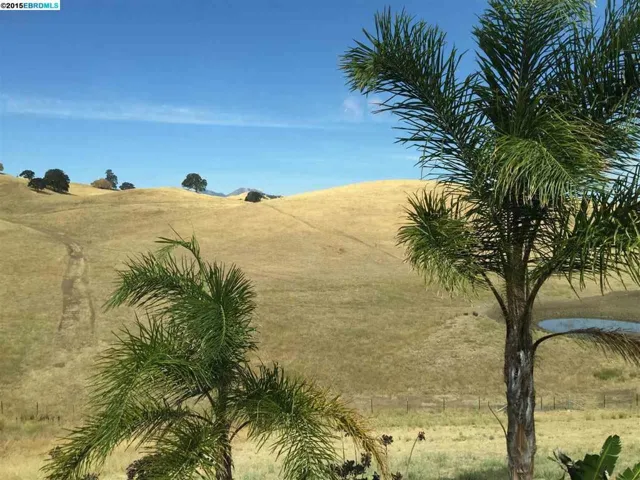 1045 Pacific Grove Ct, Brentwood, California 94513