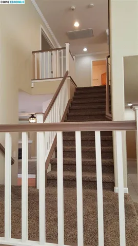 11 Pinenut Ct, Oakley, California 94561