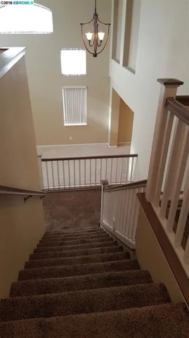 11 Pinenut Ct, Oakley, California 94561