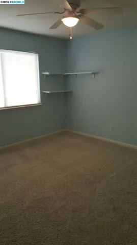 11 Pinenut Ct, Oakley, California 94561