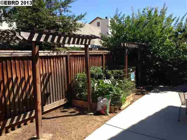 1169 Tropicana Ln, Brentwood, California 94513