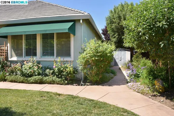 740 Buckeye Ct, Brentwood, California 94513