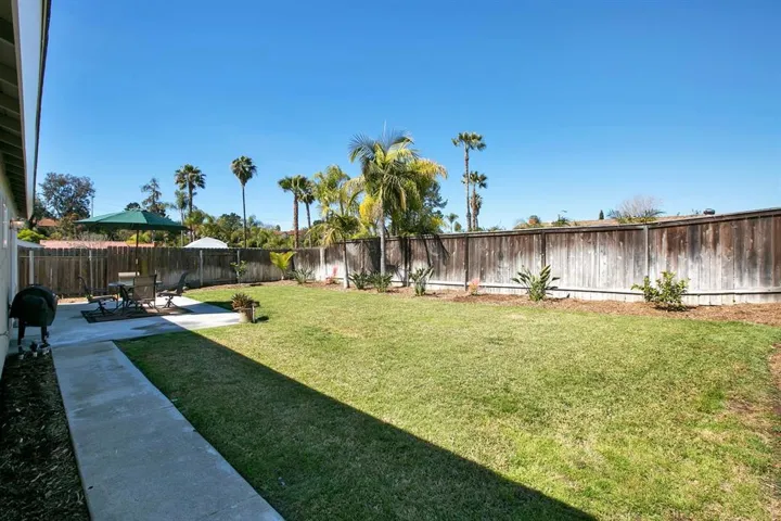 Huge back yard