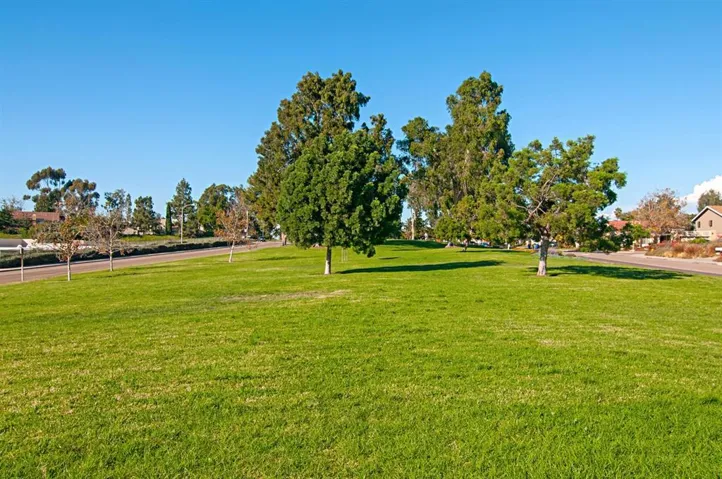 110 Five Crowns Way, Encinitas, California 92024