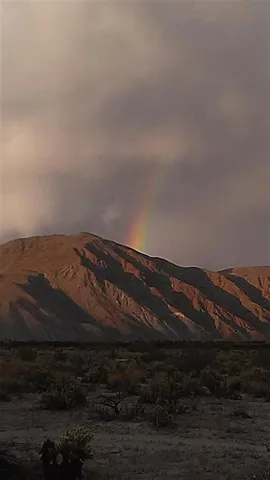 Borrego Valley Rd, Borrego Springs, California 92004