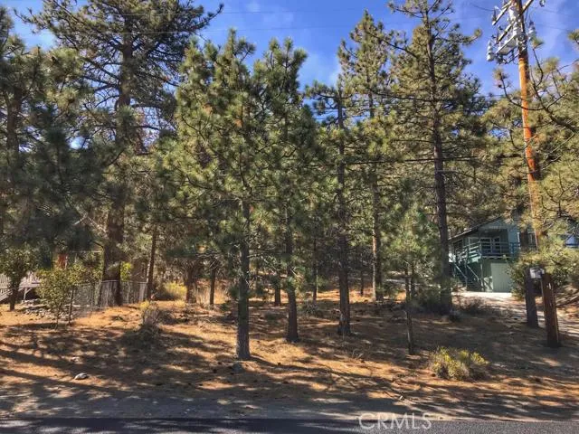 0 Lone Pine Canyon Road, Wrightwood, California 92397