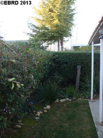 1071 Bountiful Way, Brentwood, California 94513-6925