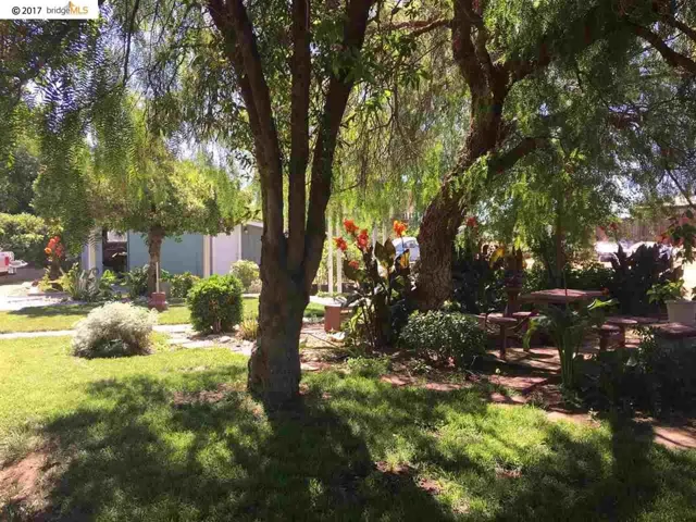 701 Almond Dr, Brentwood, California 94513