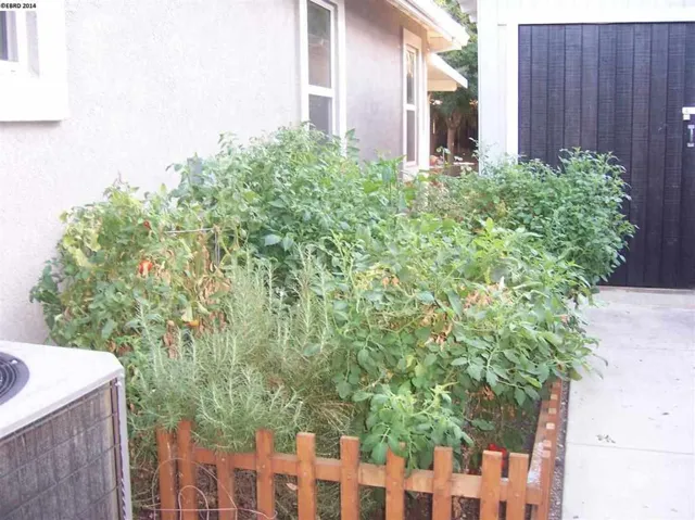 1900 Castellina Dr, Brentwood, California 94513-6537
