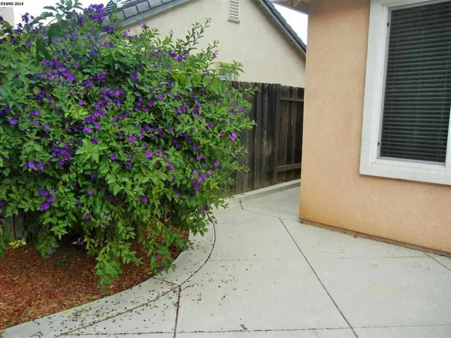 3101 Mills Dr, Brentwood, California 94513-4486