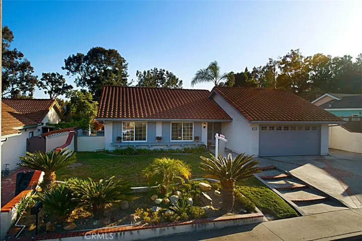 Beautiful palms planted in front of the home...